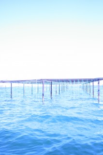 2015-04-08 21.55.25